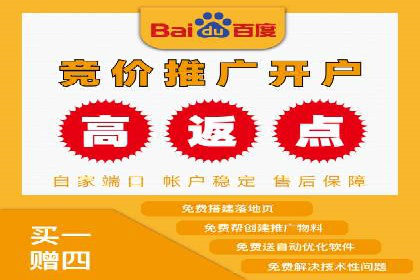 百度竞价代运营实战：某电商平台的销量翻倍秘诀